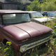 Illustration for article titled A Michigan Town Is Forcing This Man To Sell 20 Old Cars Off His Property Every Month